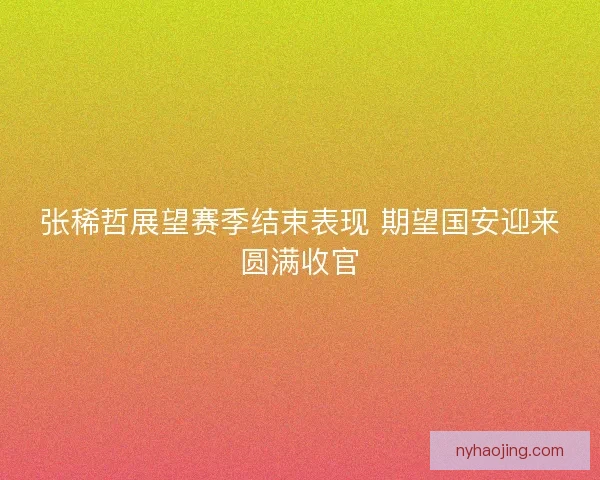 张稀哲展望赛季结束表现 期望国安迎来圆满收官