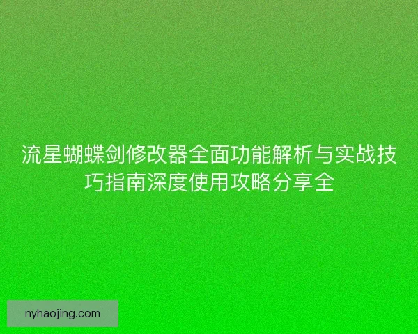 流星蝴蝶剑修改器全面功能解析与实战技巧指南深度使用攻略分享全 流星蝴蝶剑修改器全面功能解析与实战技巧指南深度使用攻略分享全